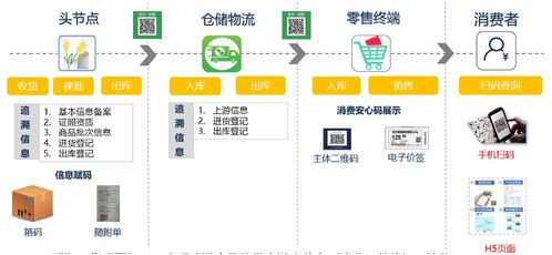 從舌尖到云端 數字賦能下的冷鏈食品追溯與遠程健康管理新格局