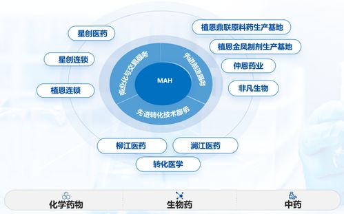 植恩生物 藥品全生命周期管理與遠程健康服務的融合創新——聚焦南京MAH與DDS戰略